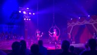 zirkus_mai25-22.jpg